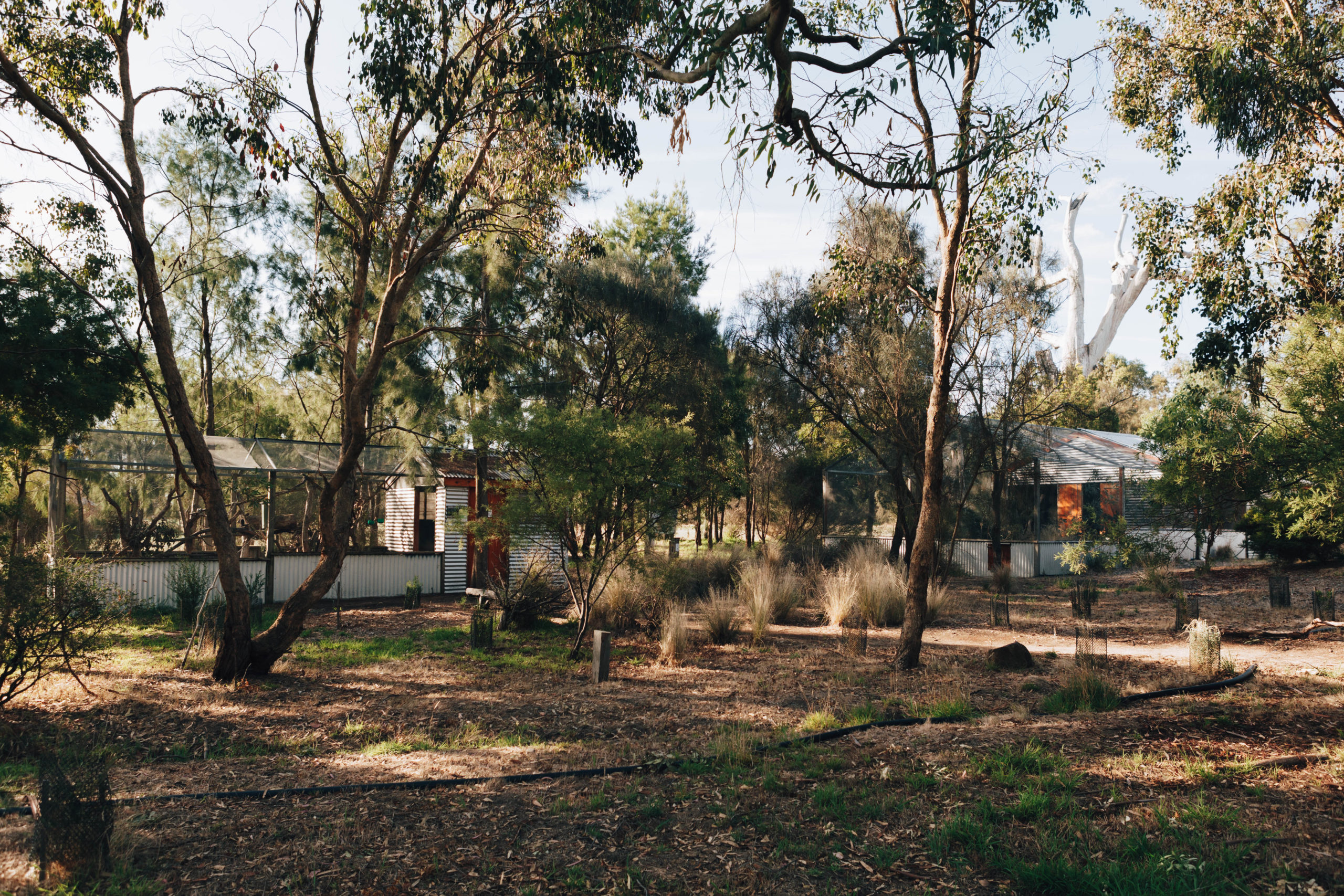 Mt Sturgeon Property Enclosures